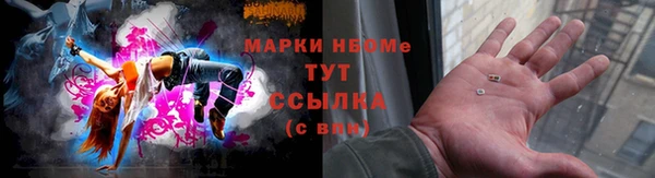 индика Армянск