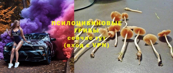 индика Армянск