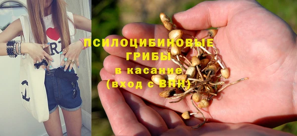индика Армянск